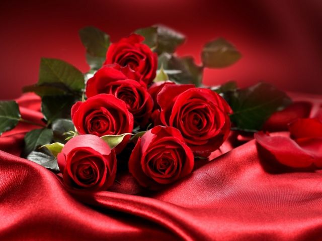 Сонник – видеть во сне розы. К чему снятся розы красные, белые, желтые, розовые, черные, живые, большие, разные, женщине, мужчине, дарят: толкование сна